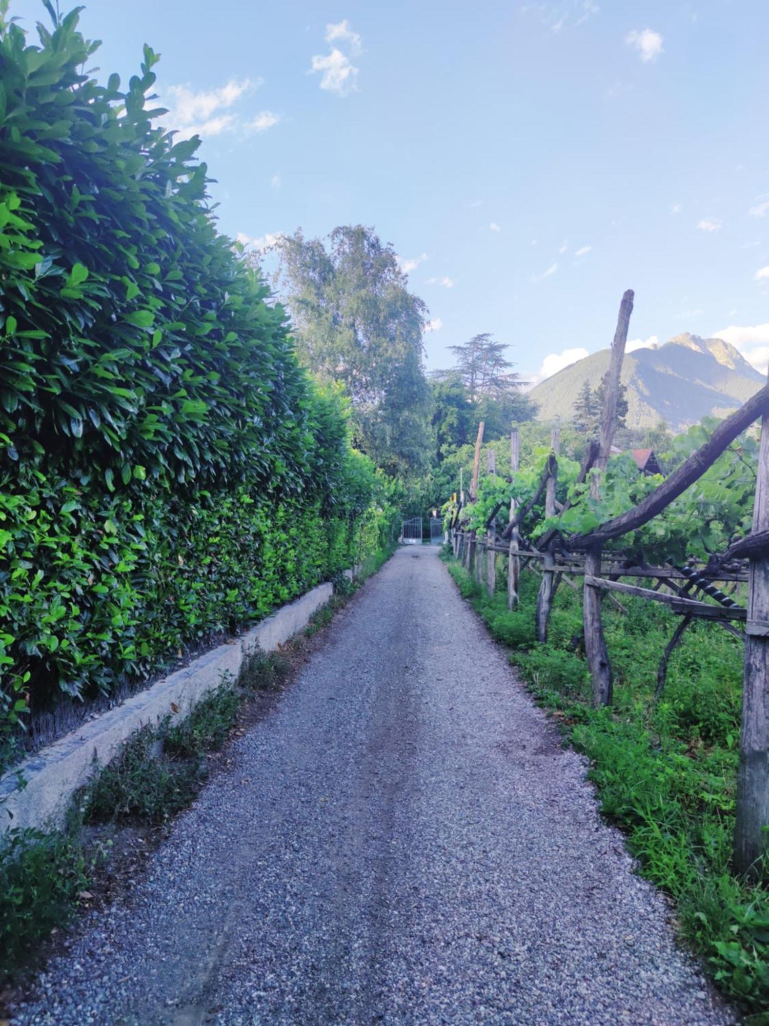 Nora S Home 2 - Panoramic Terrace & Bio Garden Merano Exterior foto