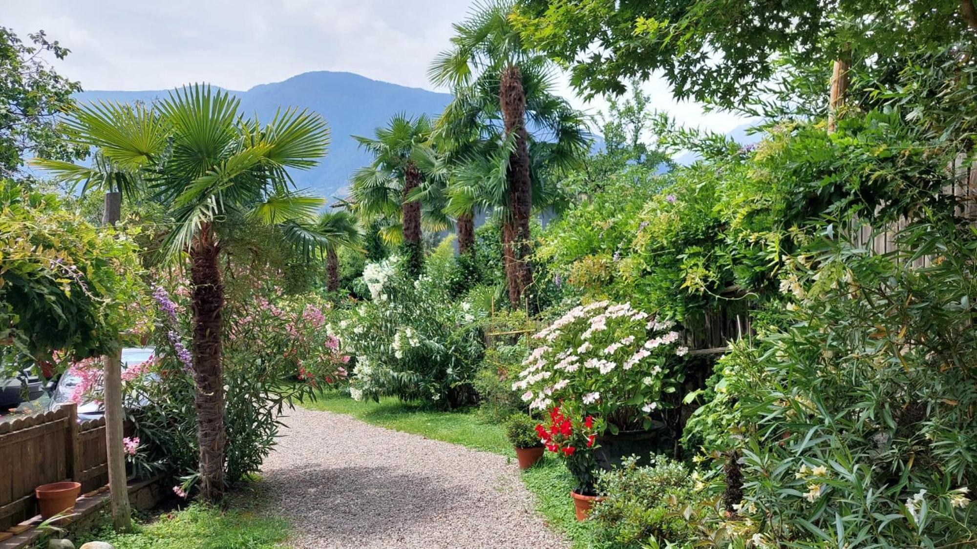 Nora S Home 2 - Panoramic Terrace & Bio Garden Merano Exterior foto